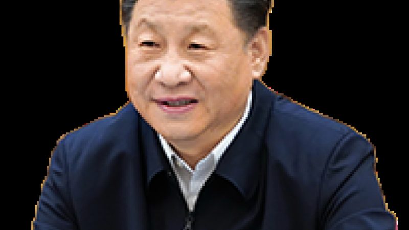 医药级有机化工原料：品质与合规的双重考量**